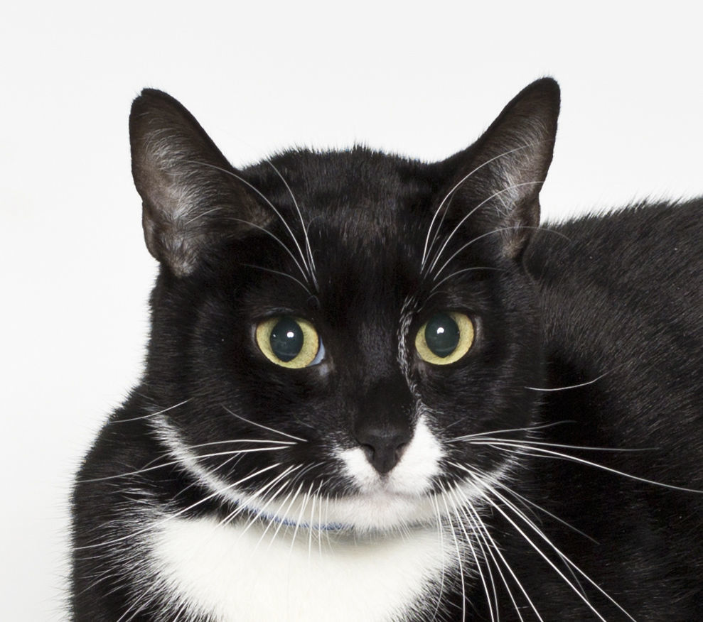 Mick Tux
